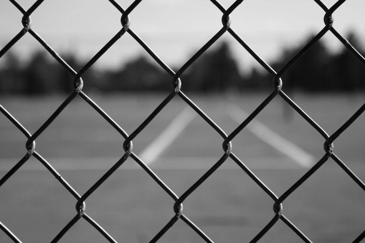 Malla Simple Torsión 40/14 galvanizada 25 m - Imagen 6